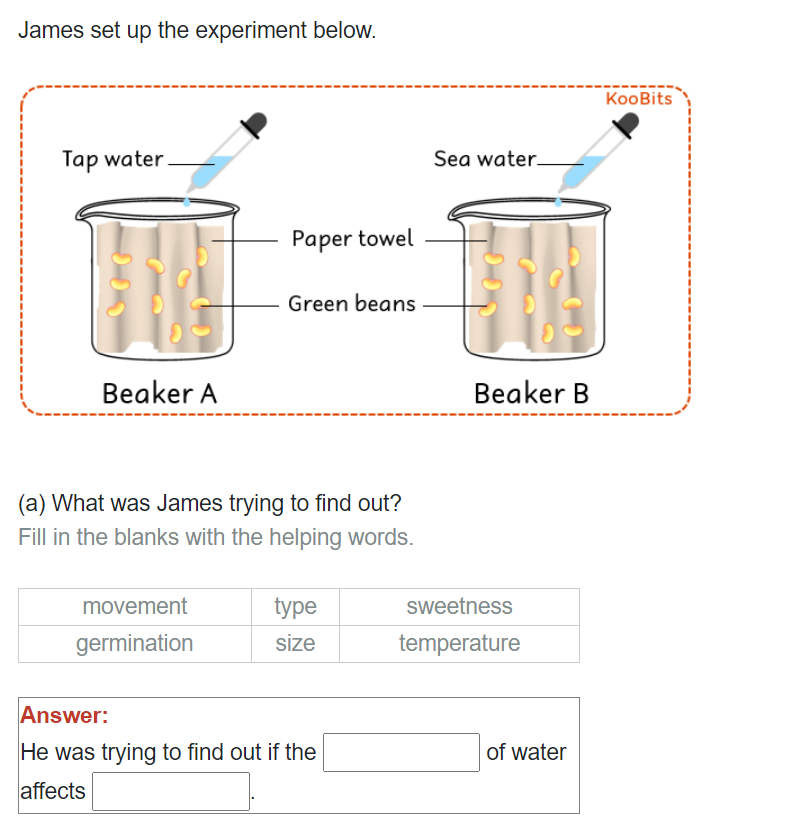 P4 Science Question