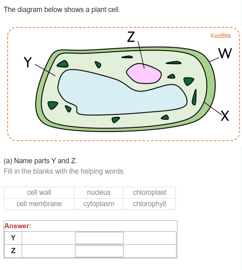 P5 Science Question